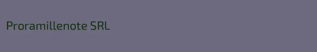 Proramillenote SRL